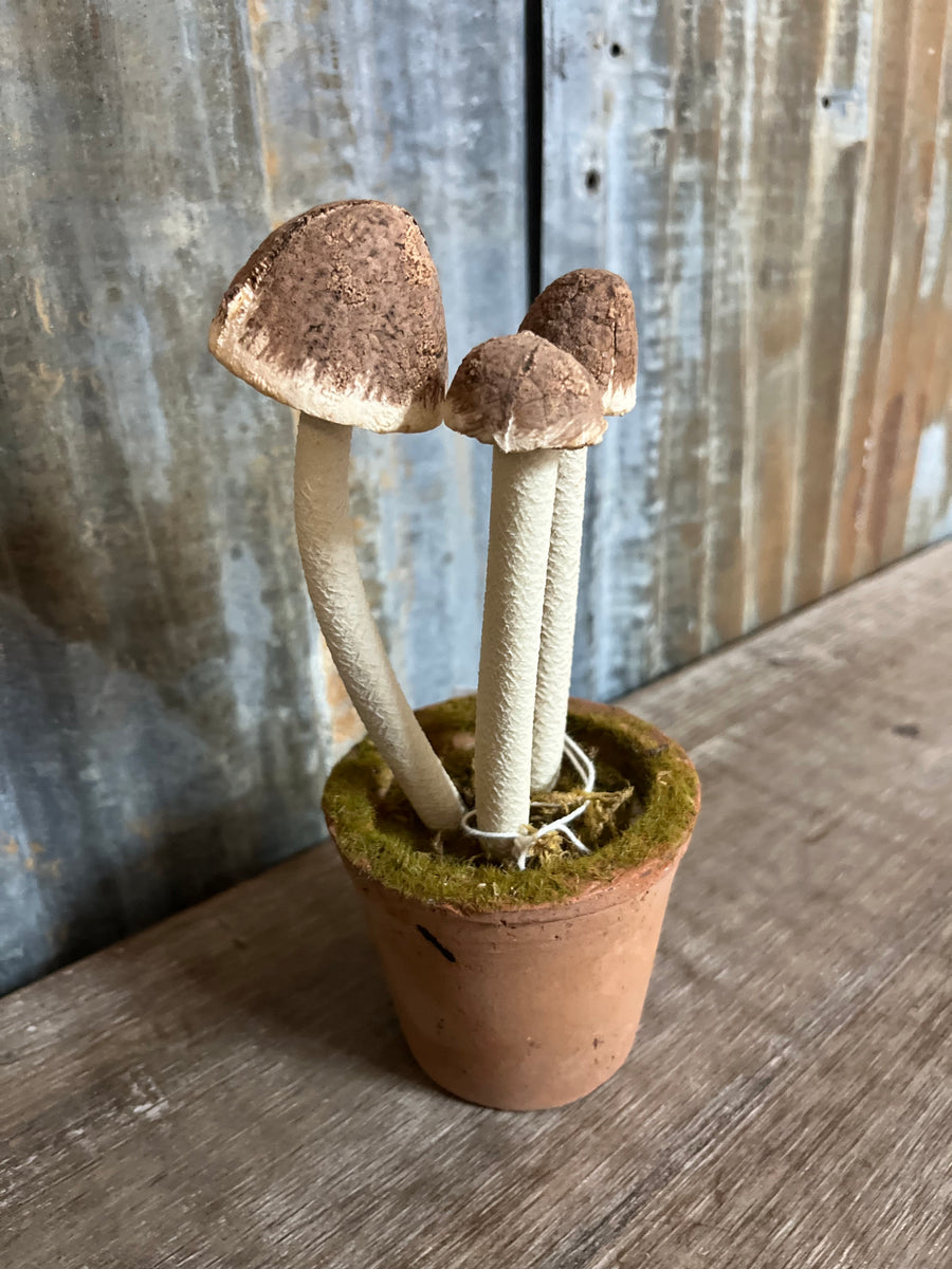 IMG-8411_1200x1200.jpg?v=