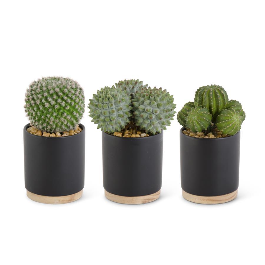 matte black pot plant CACTUS IN CERAMIC MATTE BLACK POT W/NATURAL WOOD BASE – Montana Rustic  Accents