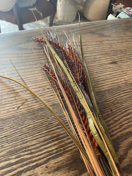 Botanica Fall Grass Bundle