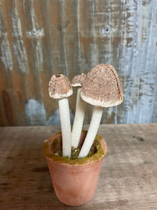 Faux Mushrooms in Clay Pot