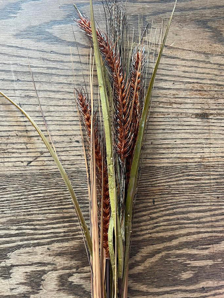 Botanica Fall Grass Bundle