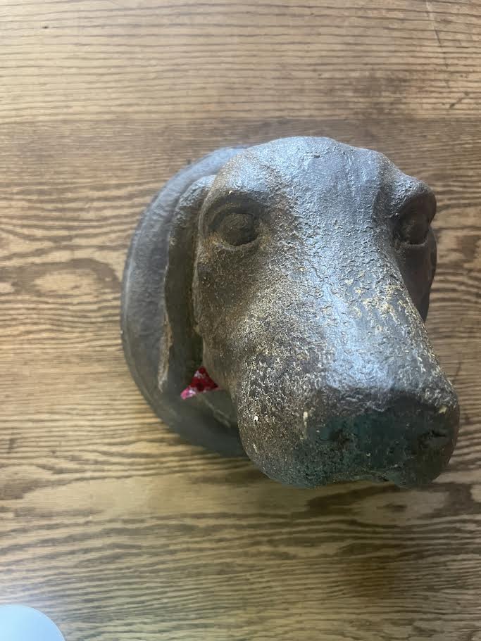 Dog Face Wall Art