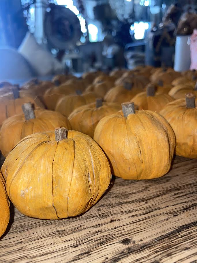 Dried Orange Minature Pumpkin Fillers