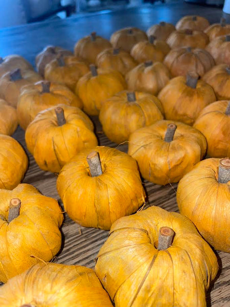 Dried Orange Minature Pumpkin Fillers