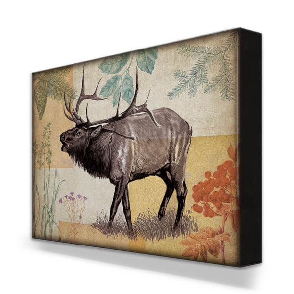 Wildwood Series Elk Metal Box Art