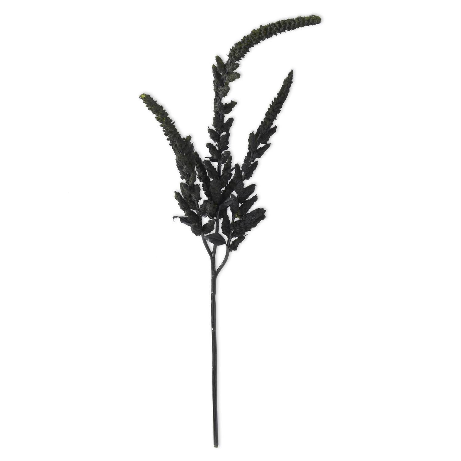 37 Inch Black Amaranthus Stem