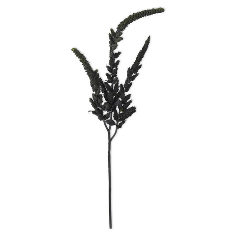 37 Inch Black Amaranthus Stem