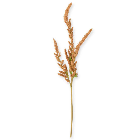 37 Inch Mustard Amaranthus Stem