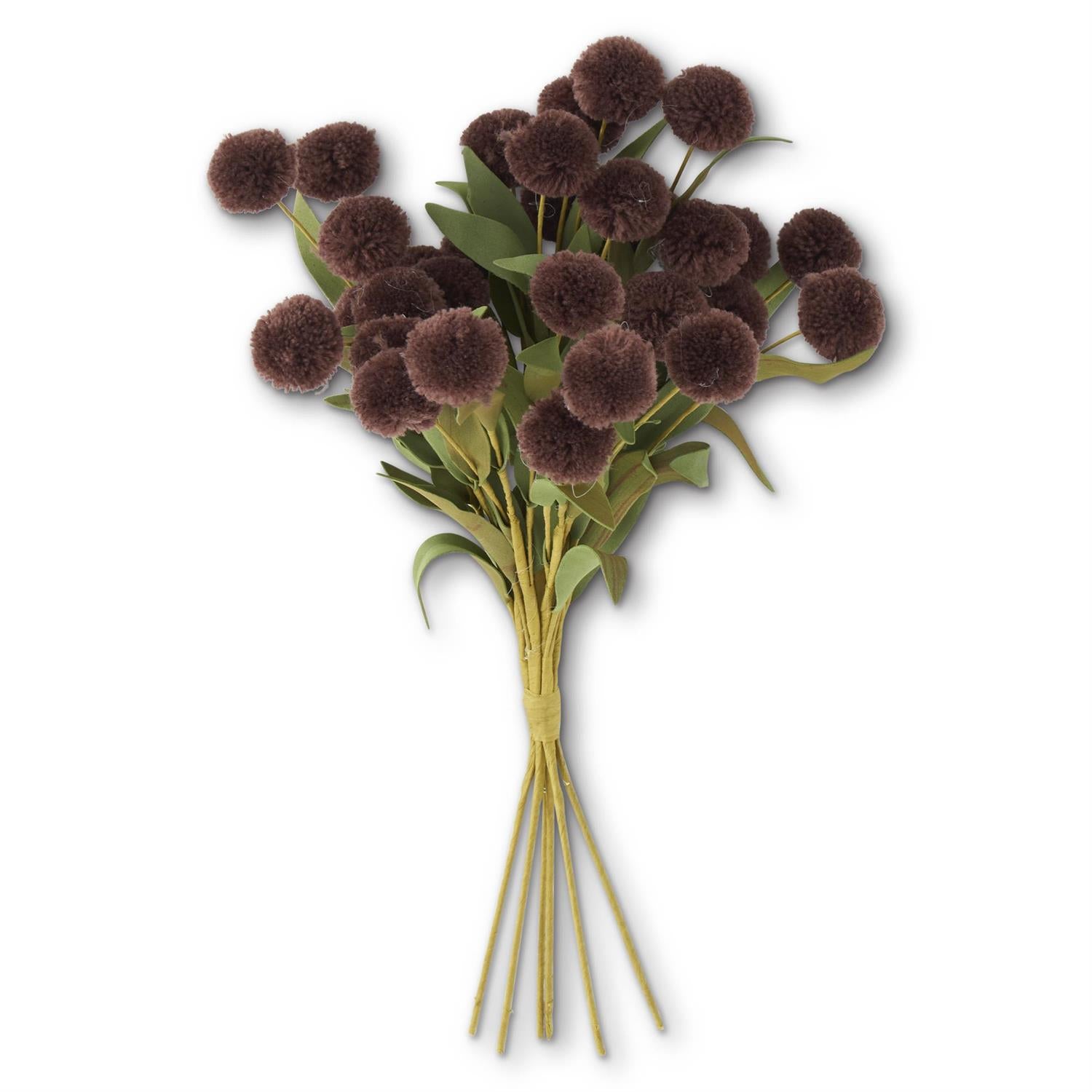 13 Inch Dark Brown Pompom Pick w/Green Eva Leaves Bundle