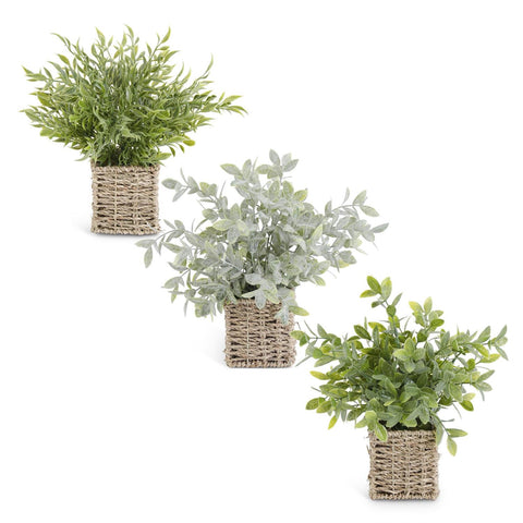 12 INCH HERBS IN SQUARE WOVEN BASKETS (3 STYLES)