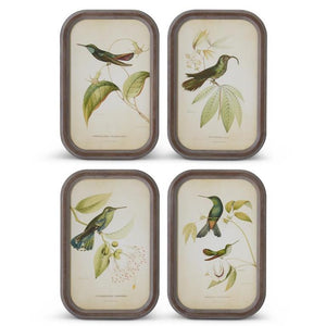 17.75 INCH ROUNDED WOOD FRAMED BIRD PRINT 4 Style Options