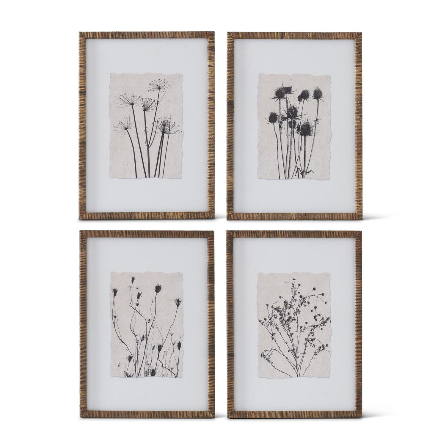 Assorted 27.5 Inch Rattan Framed Black Botanical Prints (4 Styles)