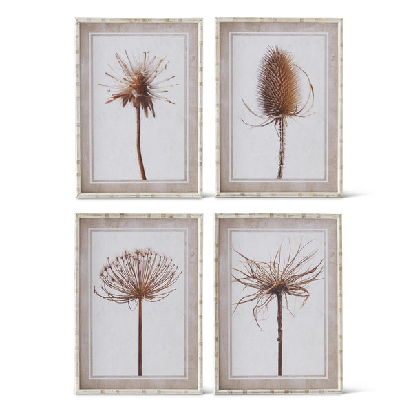 27.5 INCH BROWN THISTLE PRINTS W/WHITE WOOD FRAMES 4 Style Options
