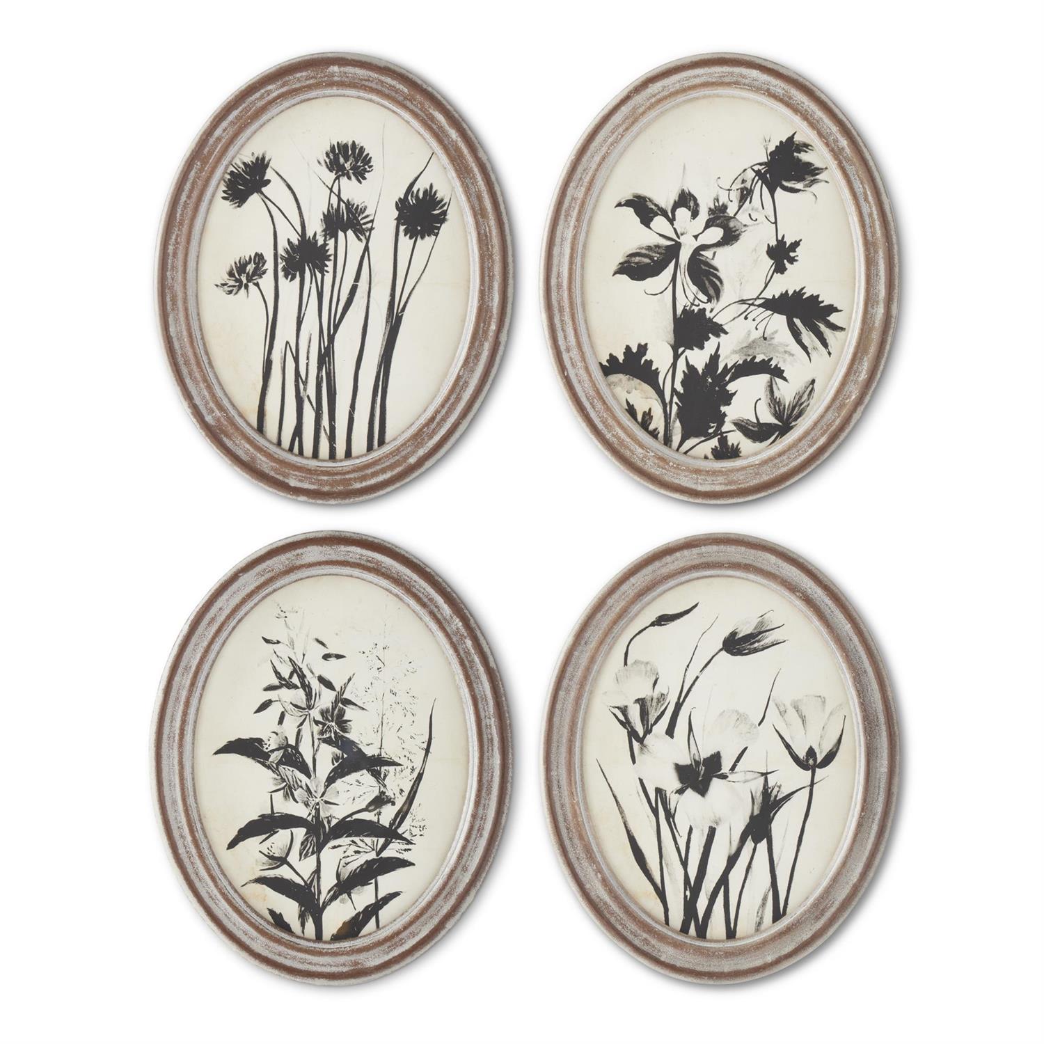 Assorted 13.75 Inch Wood Framed Oval Black & White Botanical Prints (4)