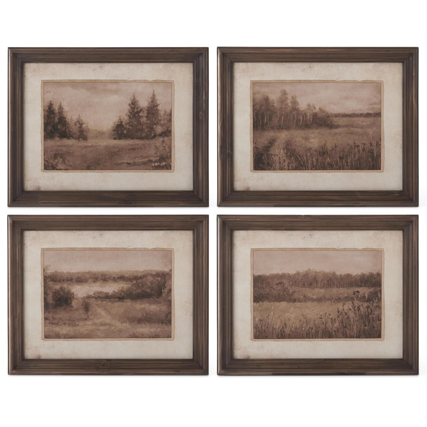 Set Of 4 19.75 Inch Dark Fir Wood Framed Naturescape Prints (4 Styles)