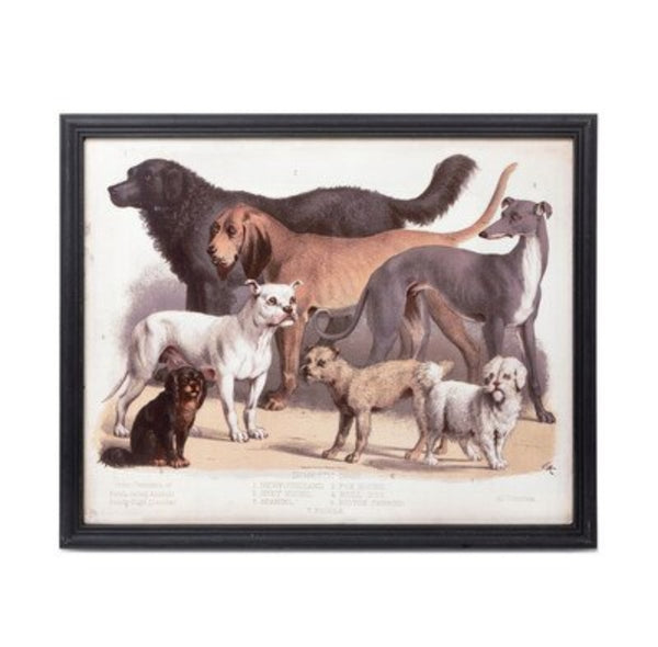 Domestic Dogs Framed Print