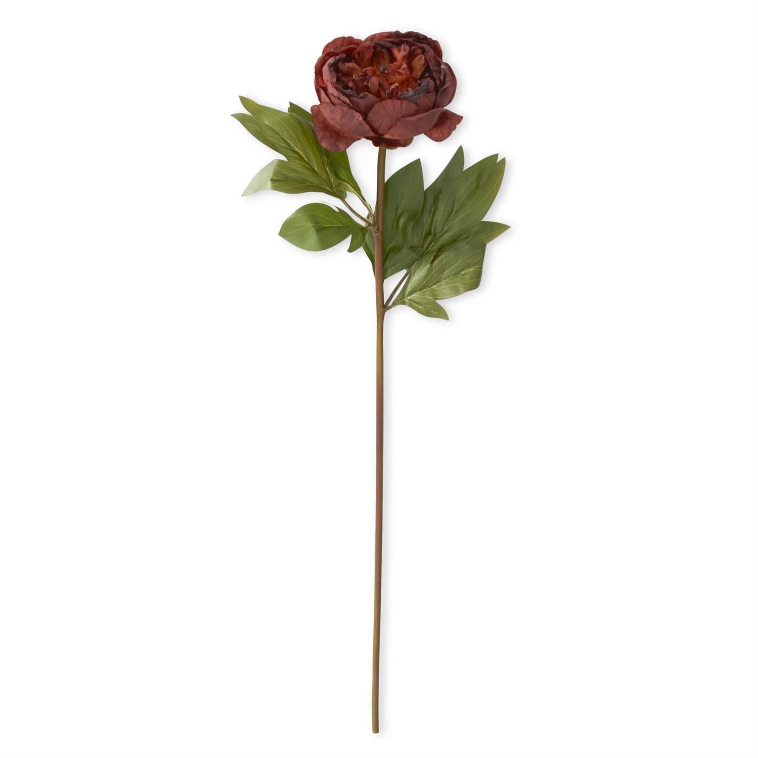 24 Inch Rust Faux Dried Peony Stem