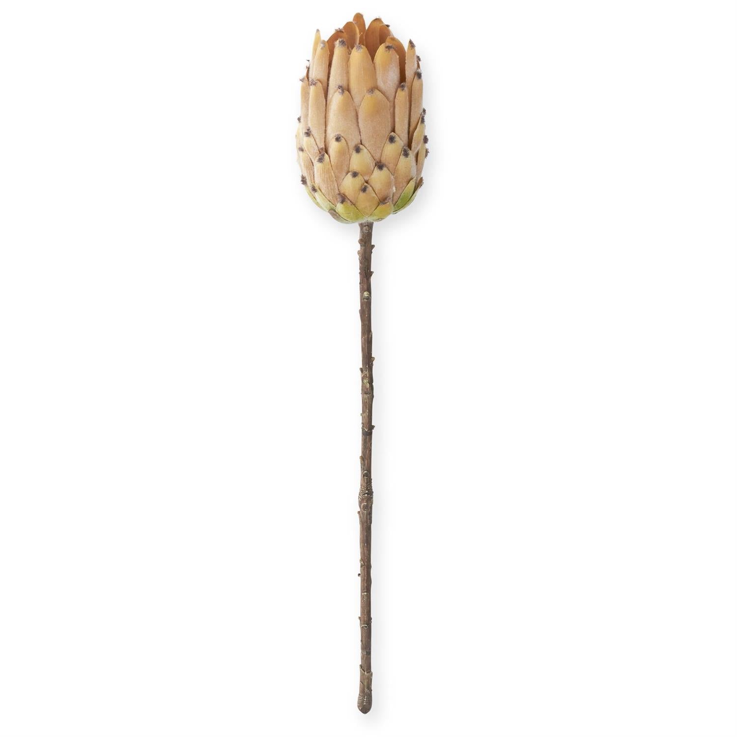 22 Inch Flocked Cream King Protea Stem
