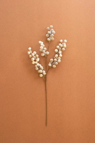 Botanica #9067