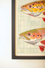 Framed Painting of Two Fish