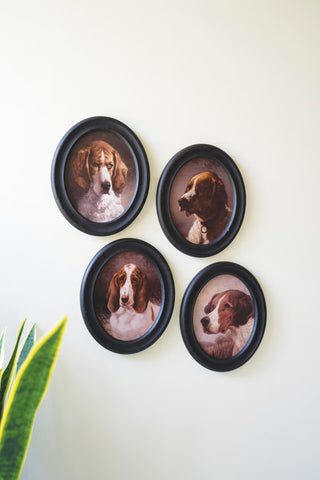 Framed Oval Hound Prints under Glass