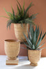 Set of 3 Split Cane Baskets