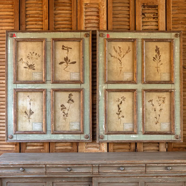 Grand Botanical Collection Prints~ Pick up only item