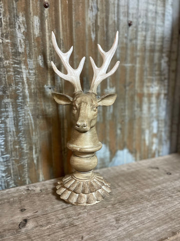 Antler Bust