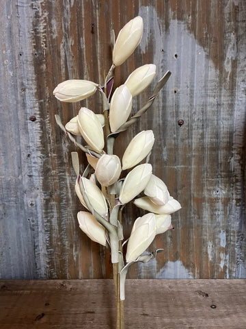 Botanica - White