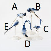 Long Tailed Bird on Stand - 5 choices