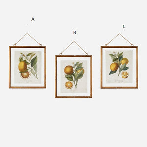 Lemon Prints- 3 choices