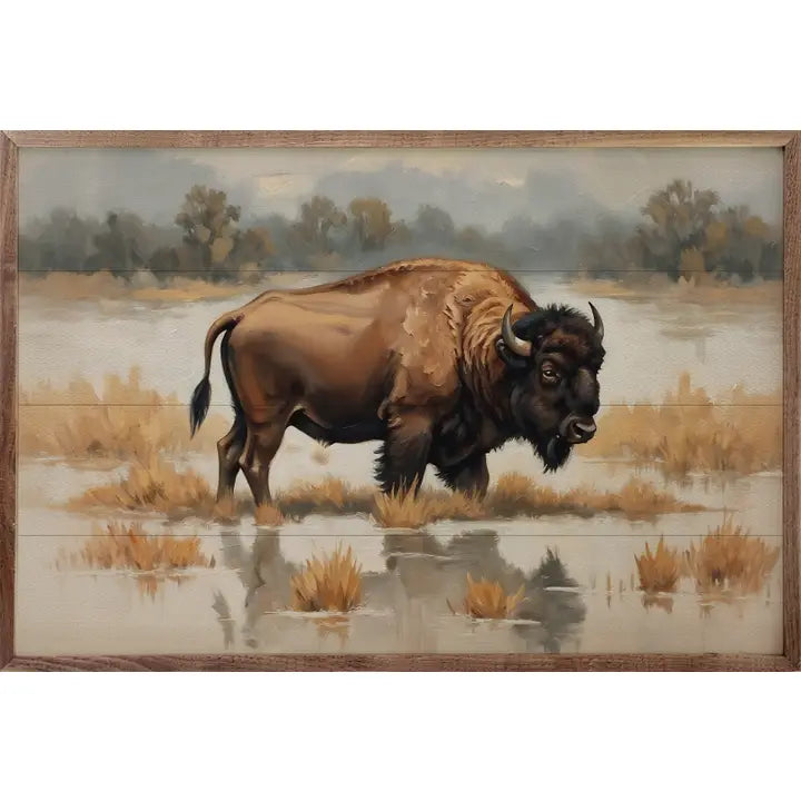 Bison in Water