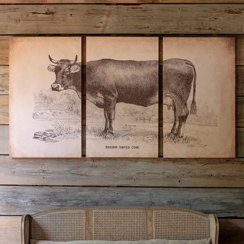 Brown Swiss Cow Triptych