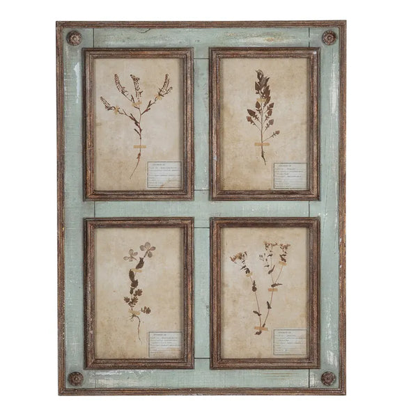 Grand Botanical Collection Prints~ Pick up only item