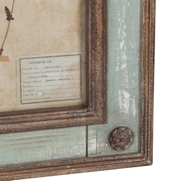 Grand Botanical Collection Prints~ Pick up only item