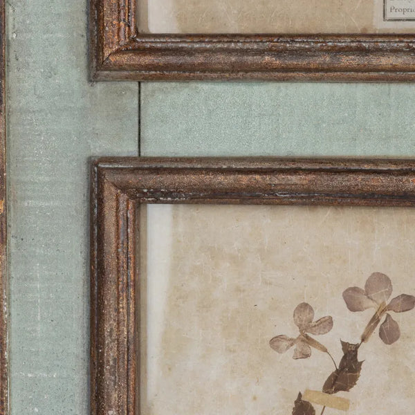 Grand Botanical Collection Prints~ Pick up only item