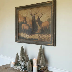 Stags Framed Picture