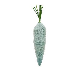 Turqoise Bottle Brush Carrot