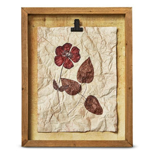 Herbarium Wildflower Shadow Box Wall Art- Ruby
