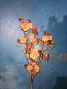 Faux Eucalyptus Leaf Stem