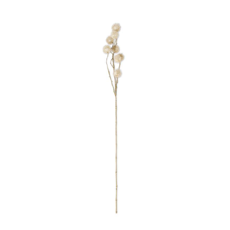 Natural Sycamore Fruit Ball Stem - 32 inches