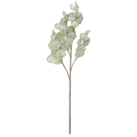 35 Inch Soft Green Flat Leaf Eucalyptus Stem