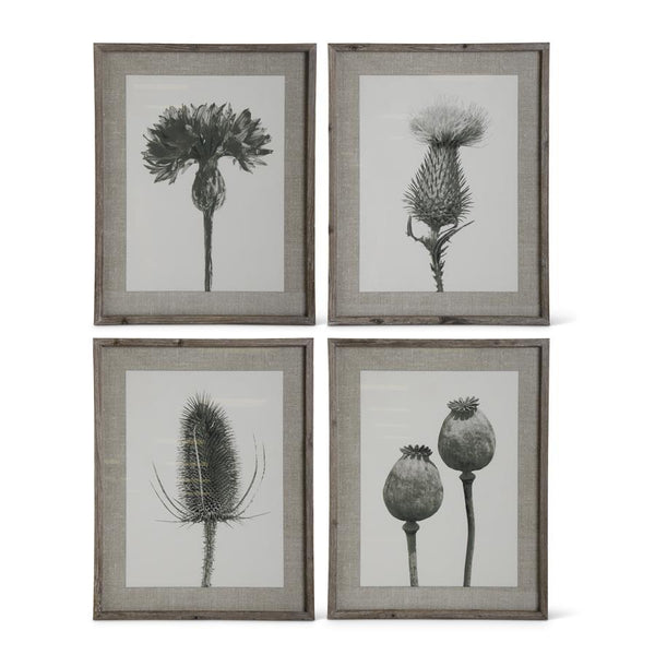 Assorted Wood Framed Black Gray & White Floral Stem Print- 4 Styles