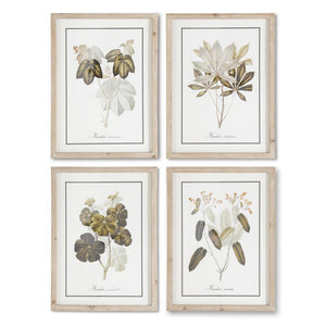 Manihot Tree Prints w/Whitewashed  Fir Wood Frame - 4 Styles
