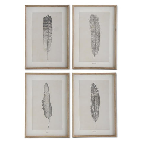 Assorted Framed Feather Prints (4 Styles)