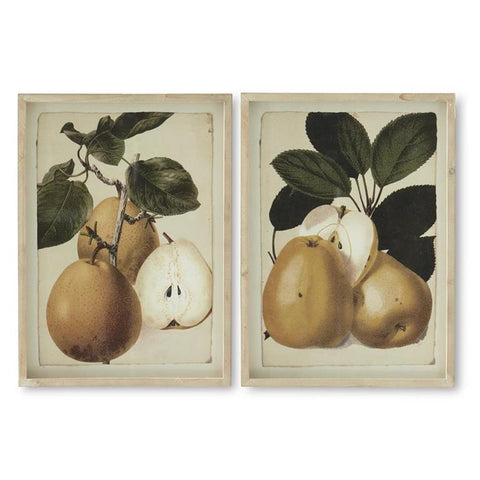 Assorted Brown Wood Framed Pear Prints- 2 Styles