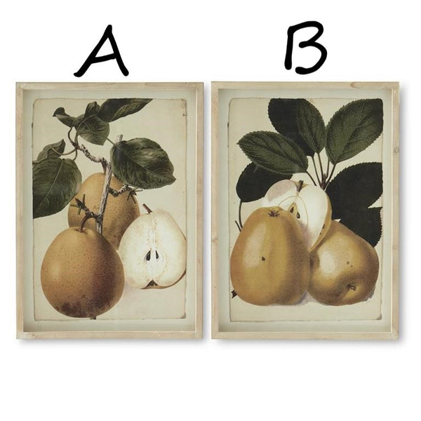 Assorted Brown Wood Framed Pear Prints- 2 Styles