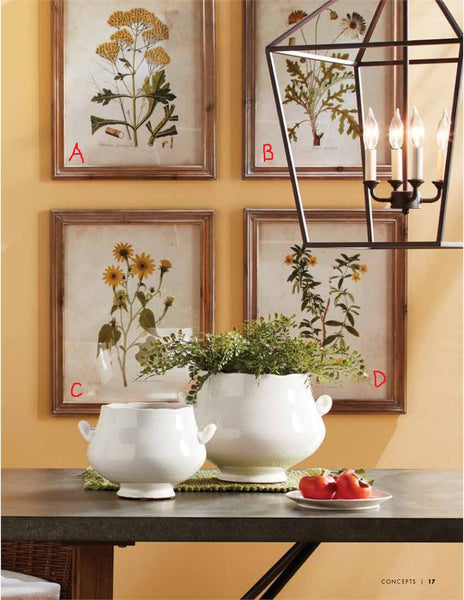 Golden Wildflower Study Framed Prints! Four Style Options!