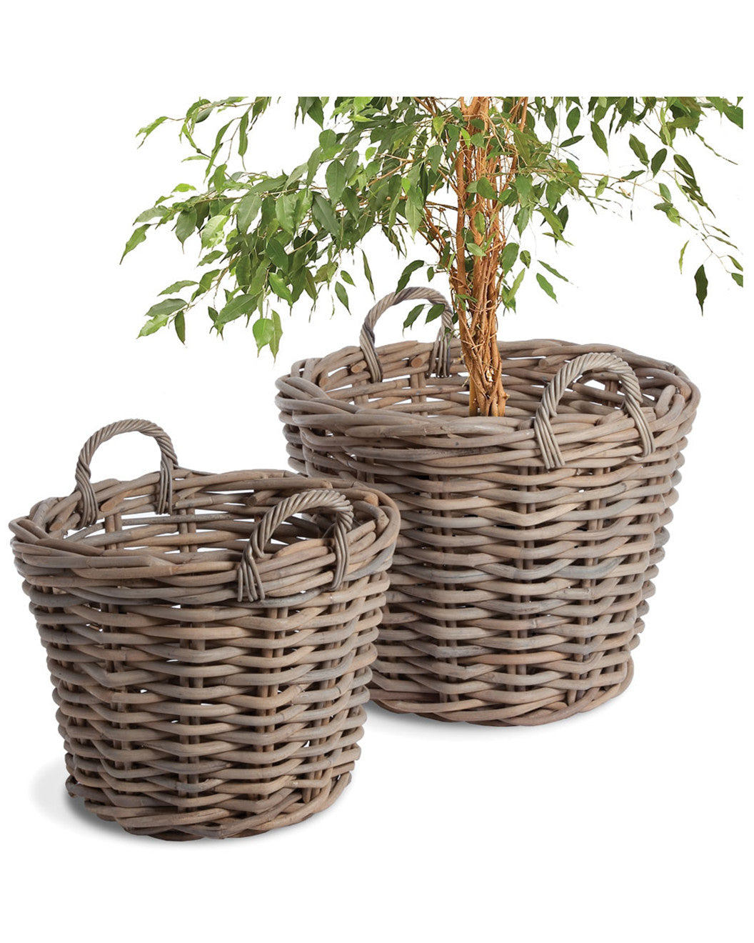 Normandy Tree Gray Basket Large