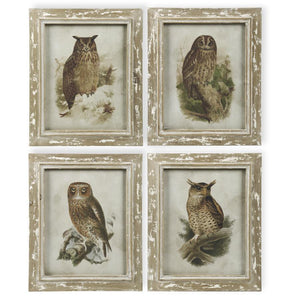 Distressed Wood Framed Owl Prints (4 Styles)